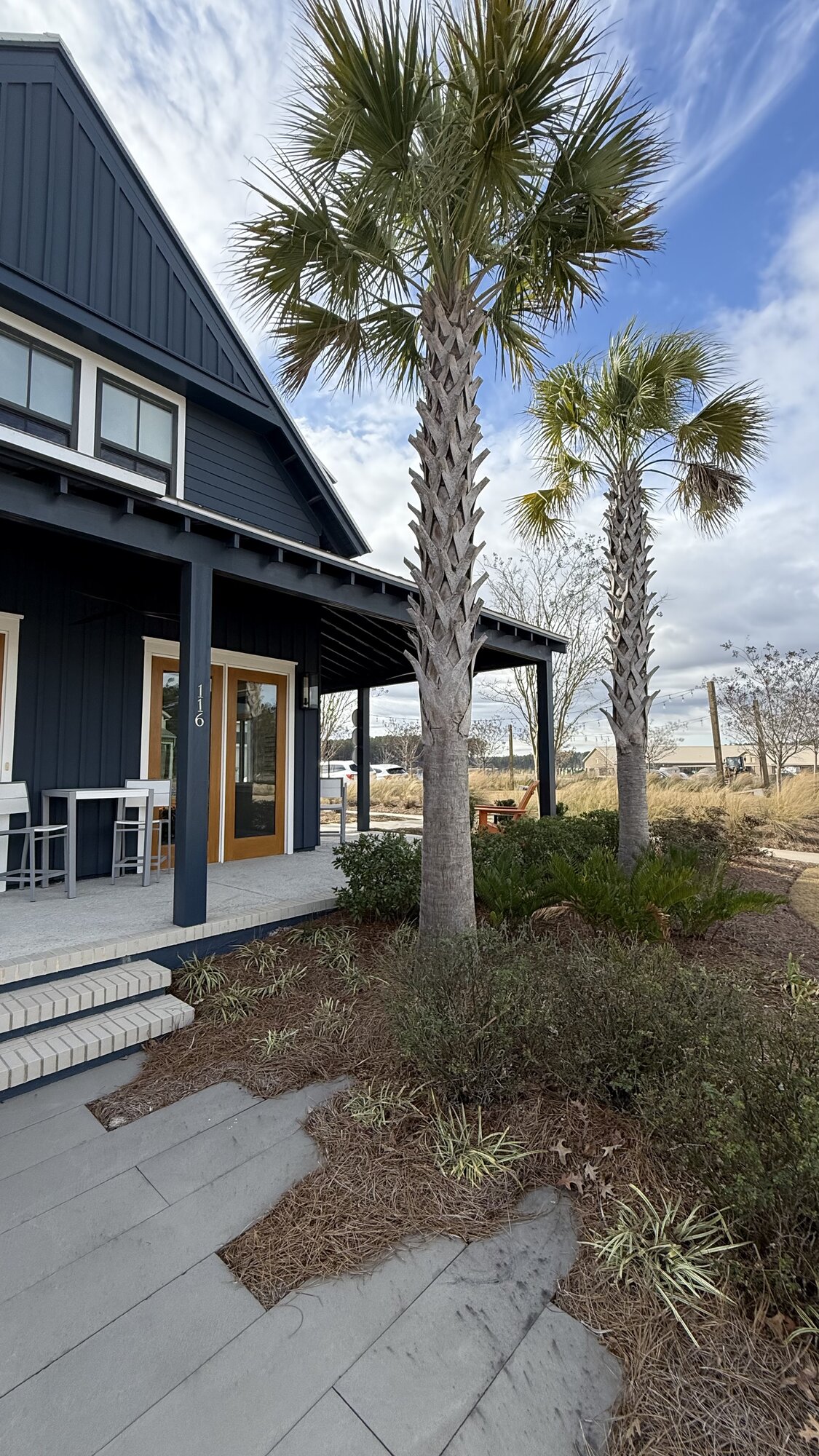 Charleston Lowcountry home with deep navy board-and-batten siding, covered porch, and palmetto palms